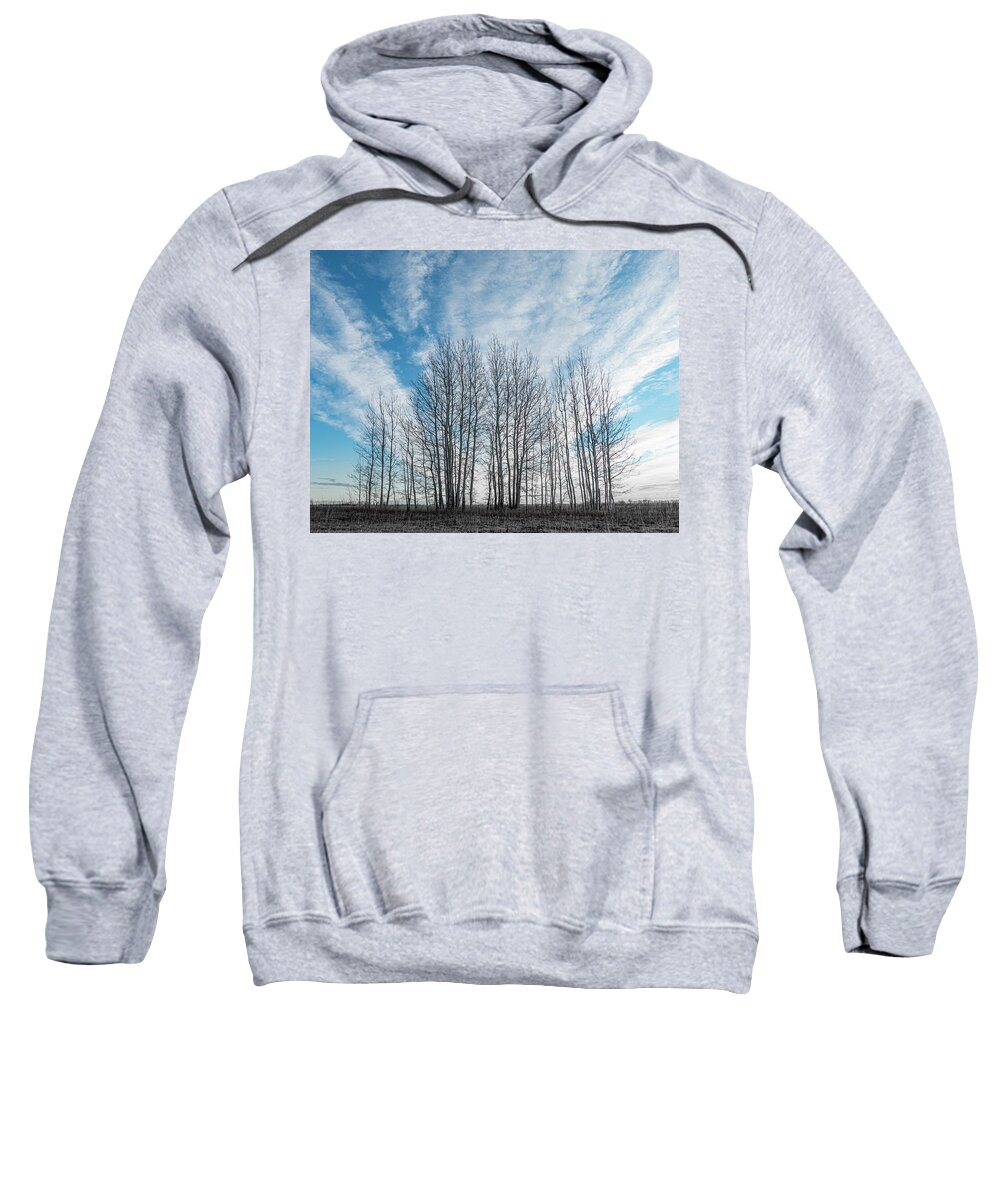 Sky Sweatshirt featuring the photograph Winter poplar bluff and sky by Karen Rispin