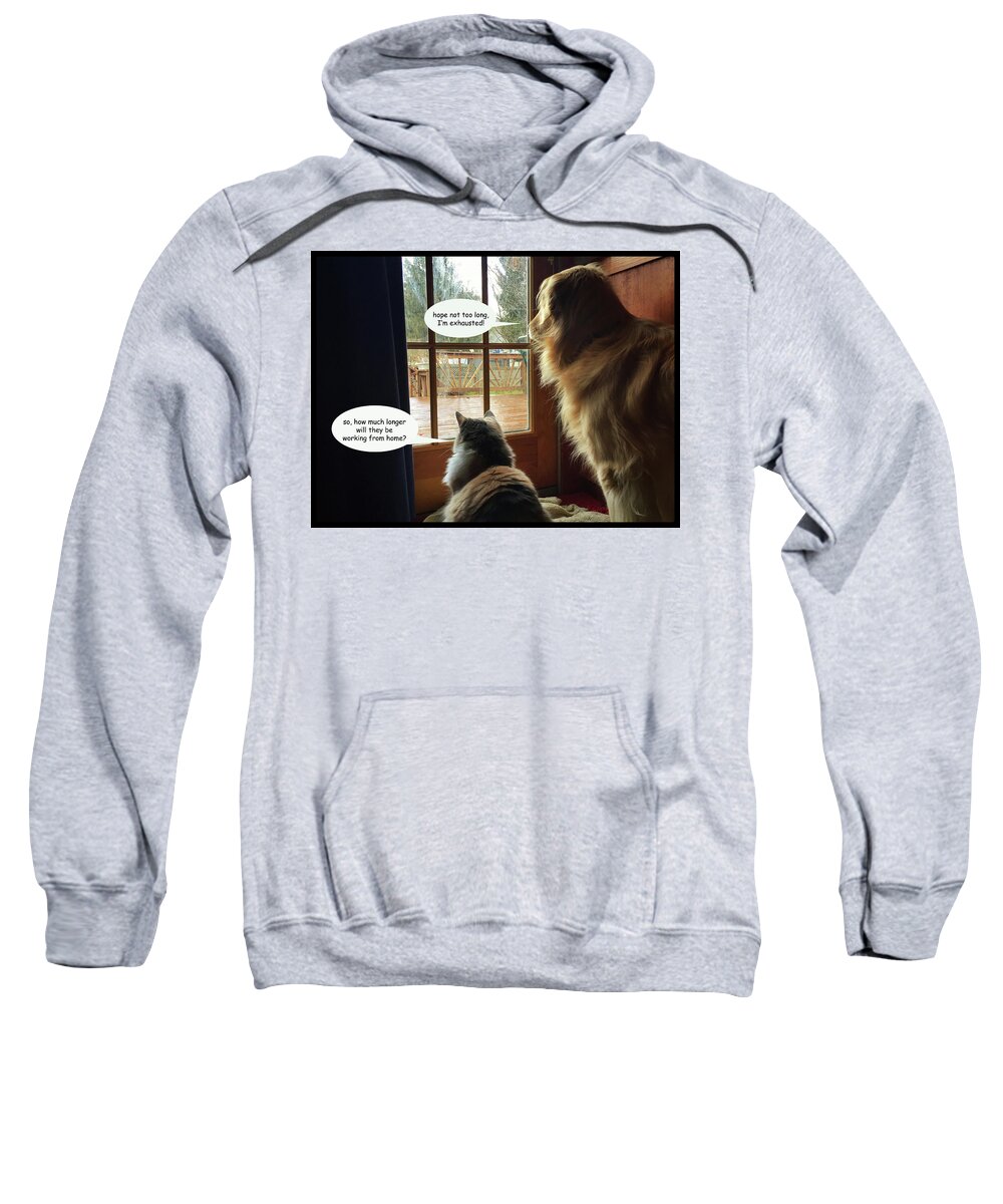 Work From Home Sweatshirt featuring the photograph Working from Home by Robert Dann