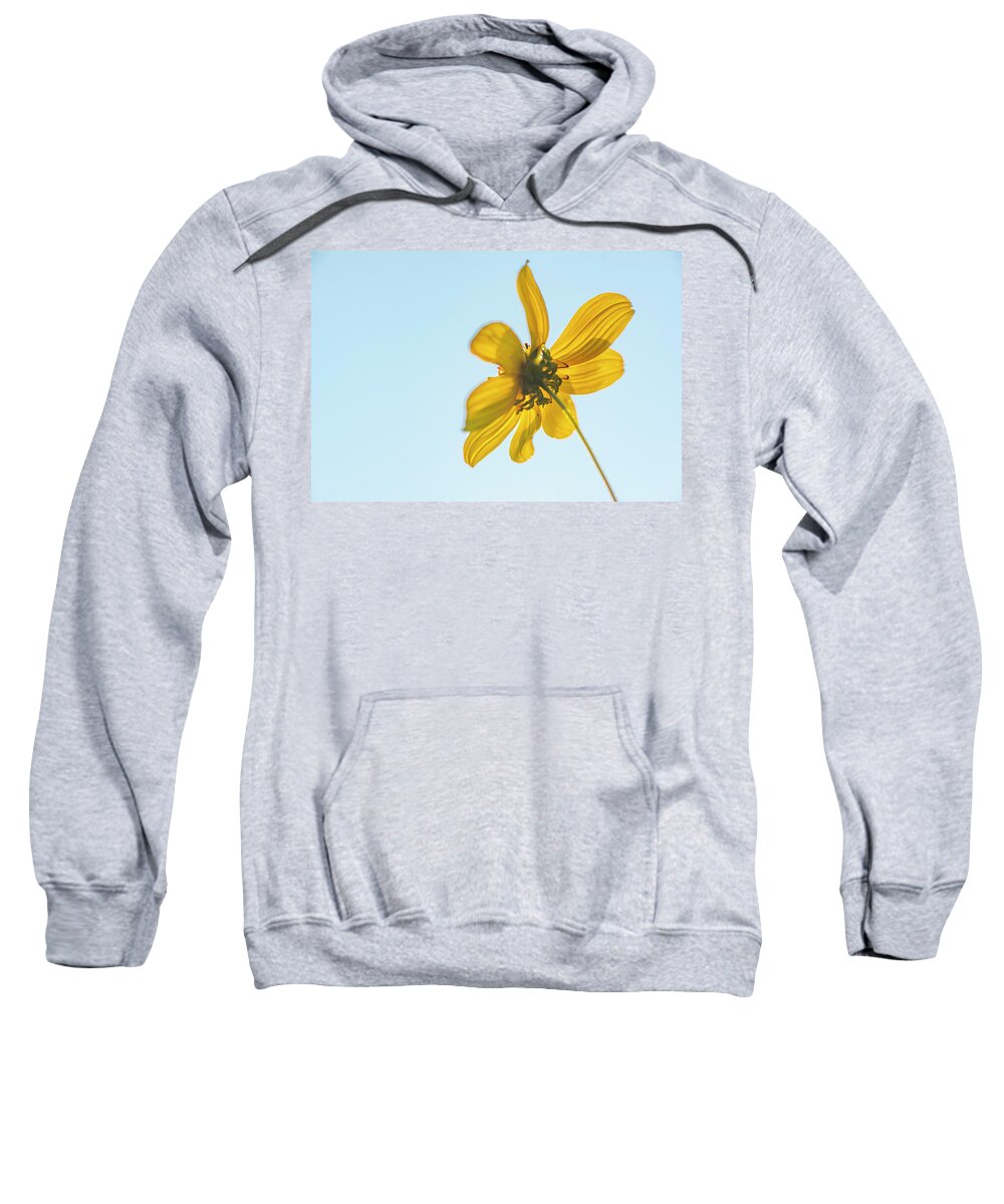 Daisy Sweatshirt featuring the photograph Yellow Daisy And Sky by Karen Rispin
