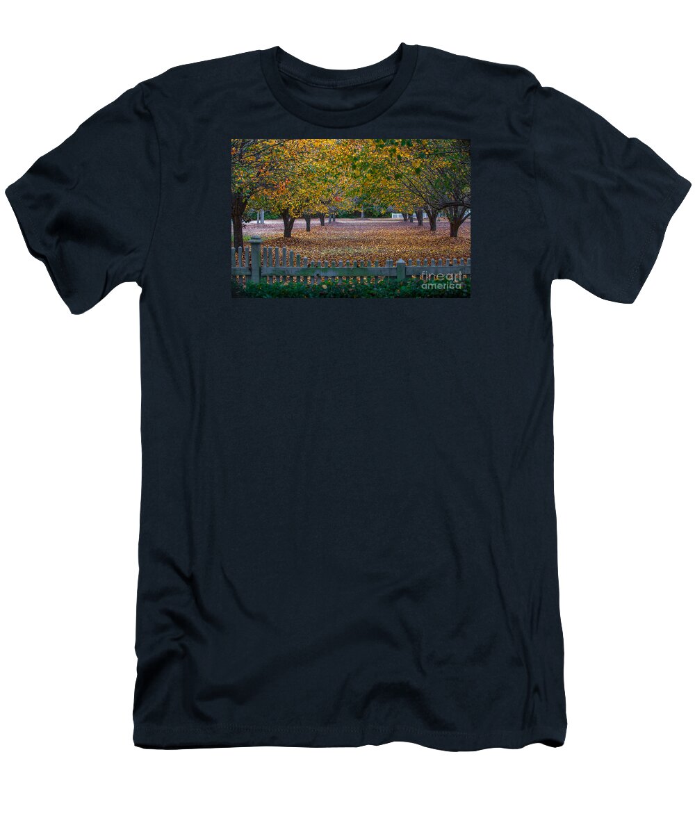Autumn T-Shirt featuring the photograph Autumn Splendor by Dale Powell