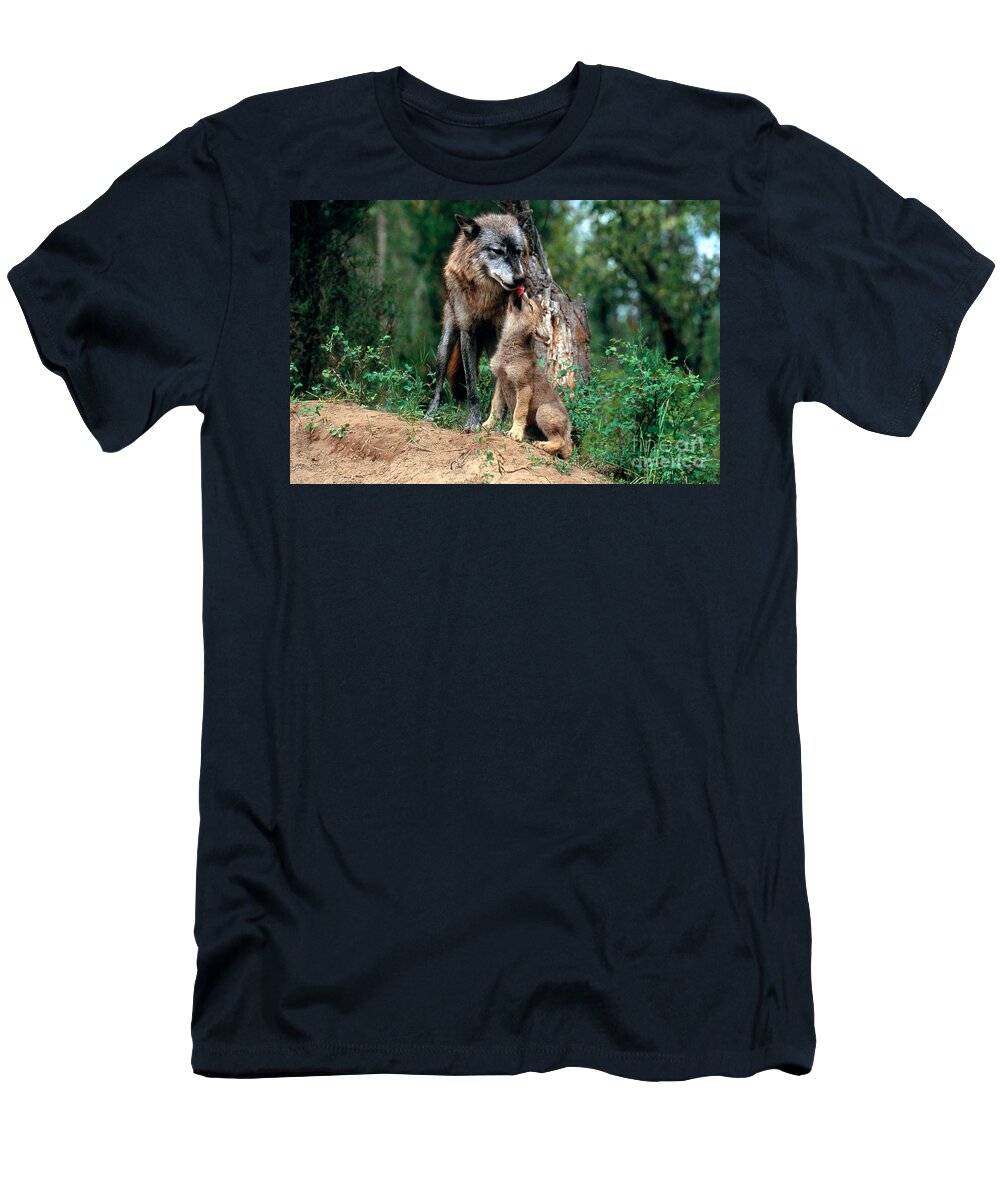 Gray Wolf T-Shirt featuring the photograph Gray Wolf With Pup #1 by Art Wolfe