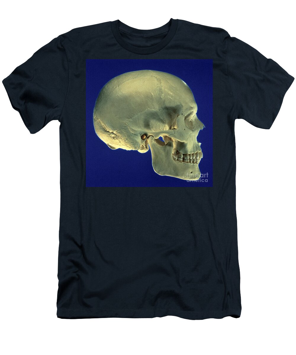 Human Skull T-Shirt featuring the photograph Human Skull #1 by David Bassett