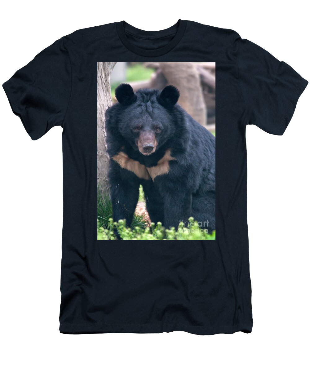 Nature T-Shirt featuring the photograph Asian Black Bear #14 by Mark Newman