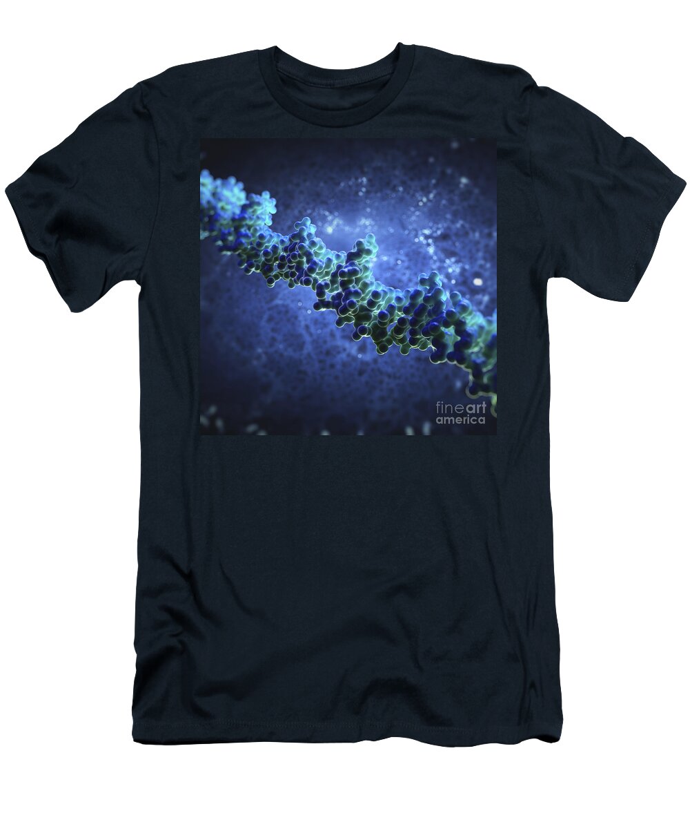 Double Helix T-Shirt featuring the photograph Human Dna #15 by Science Picture Co