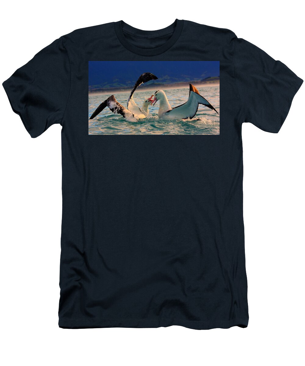 Wandering Albatross T-Shirt featuring the photograph Wandering Albatross #2 by Amanda Stadther