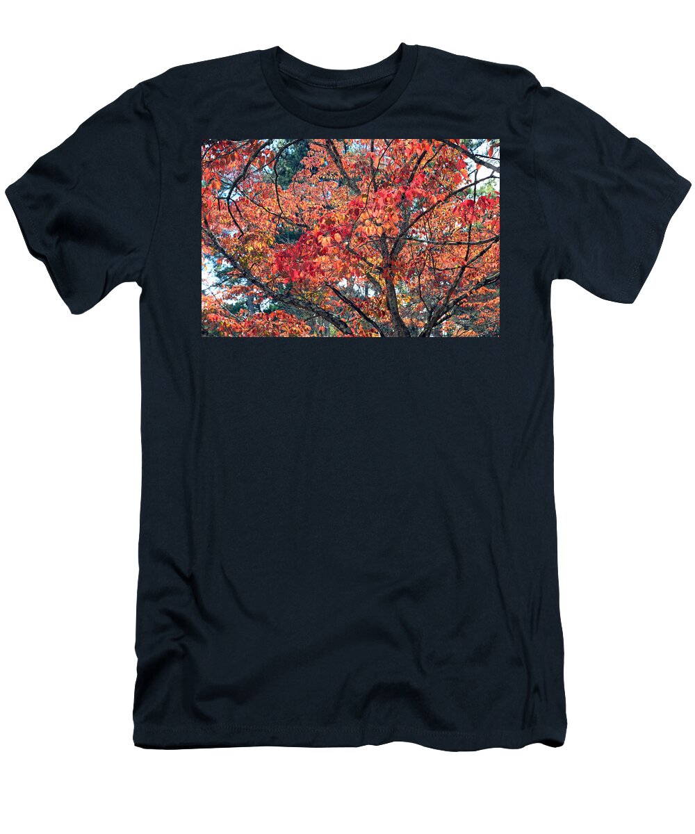 Autumn T-Shirt featuring the photograph Autumn Leaves #3 by Rafael Salazar