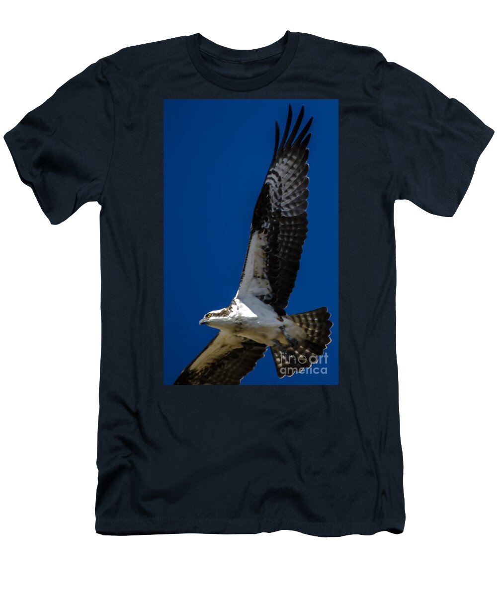 Osprey In Flight T-Shirt featuring the photograph Osprey in Flight #3 by Dale Powell