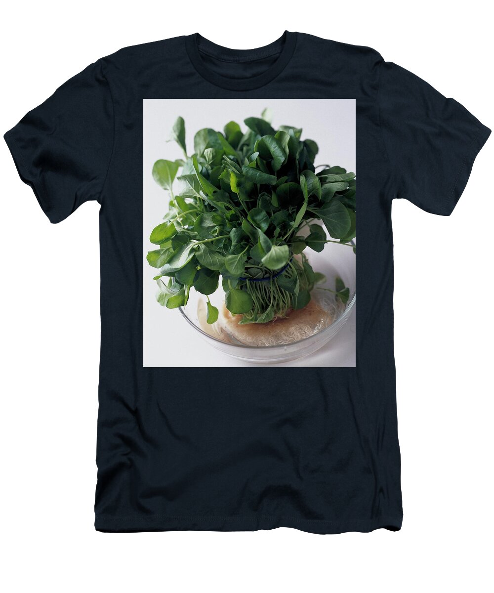 Fruits T-Shirt featuring the photograph A Watercress Plant In A Bowl Of Water by Romulo Yanes