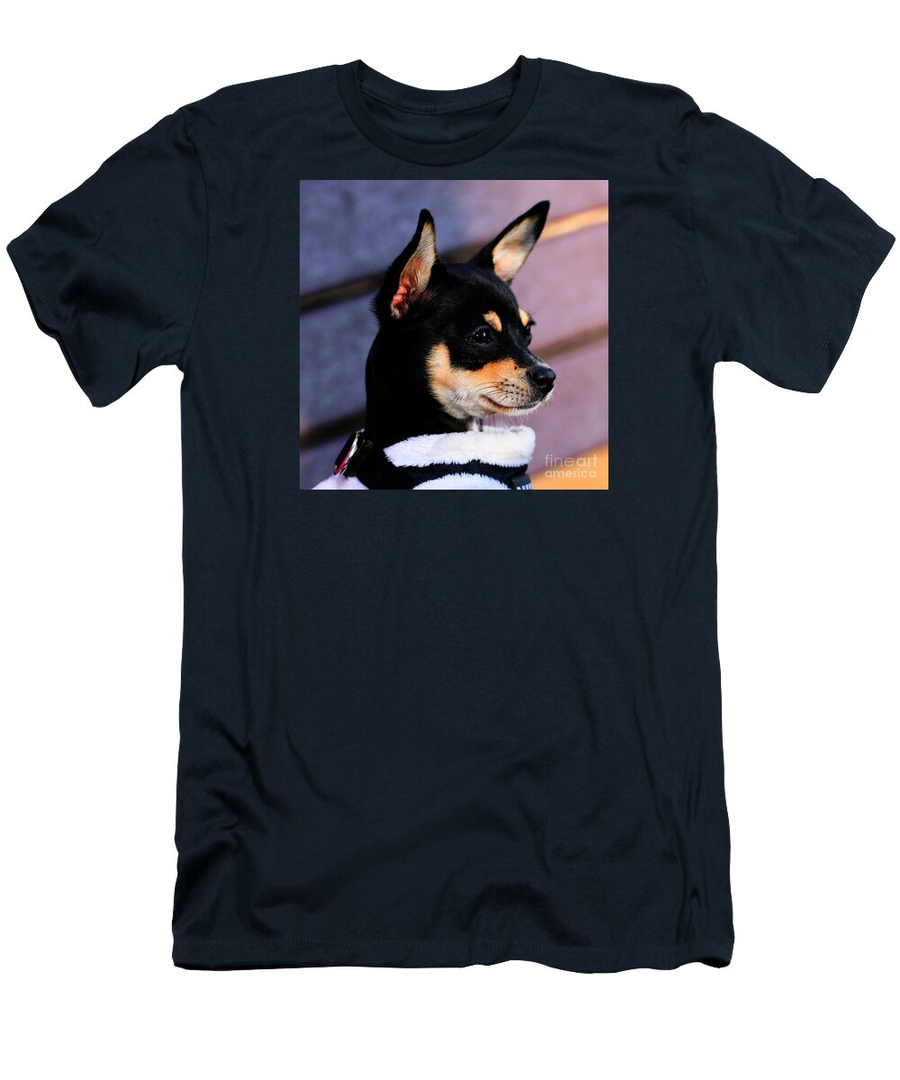 Dog T-Shirt featuring the photograph Agie - Chihuahua Pitbull by Tap On Photo