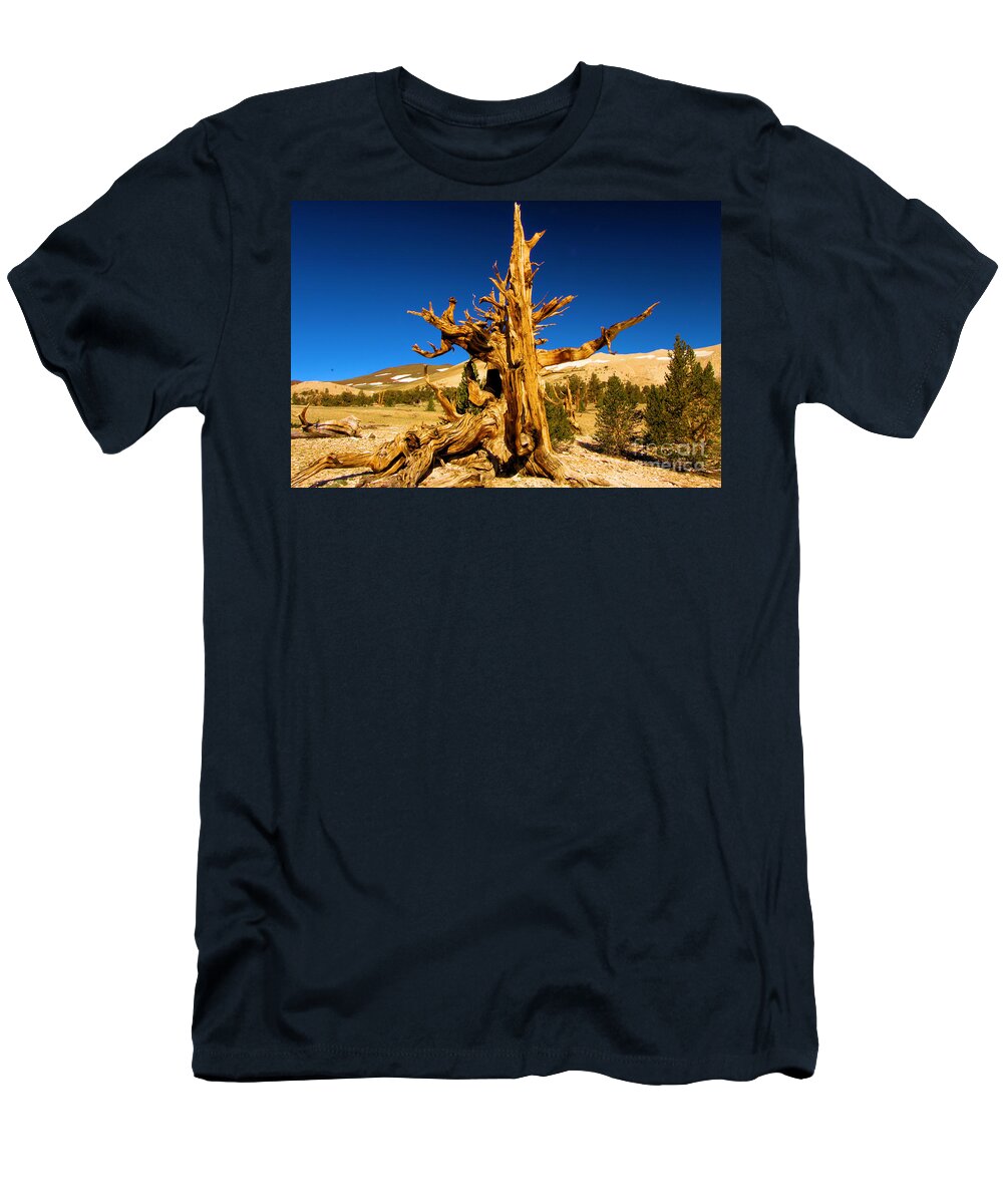 Bristlecone Pine Forest T-Shirt featuring the photograph Ancient Branch by Adam Jewell
