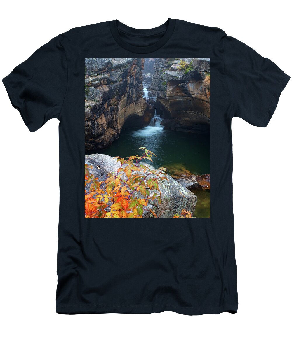 Autumn Colors T-Shirt featuring the photograph Autumn at the Grotto by Jim Garrison