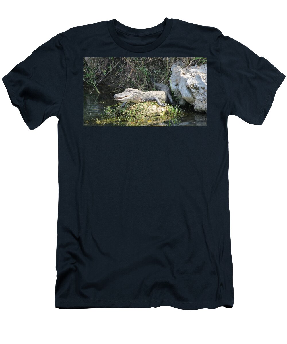Landscape T-Shirt featuring the photograph Basking in the Sun by Fortunate Findings Shirley Dickerson