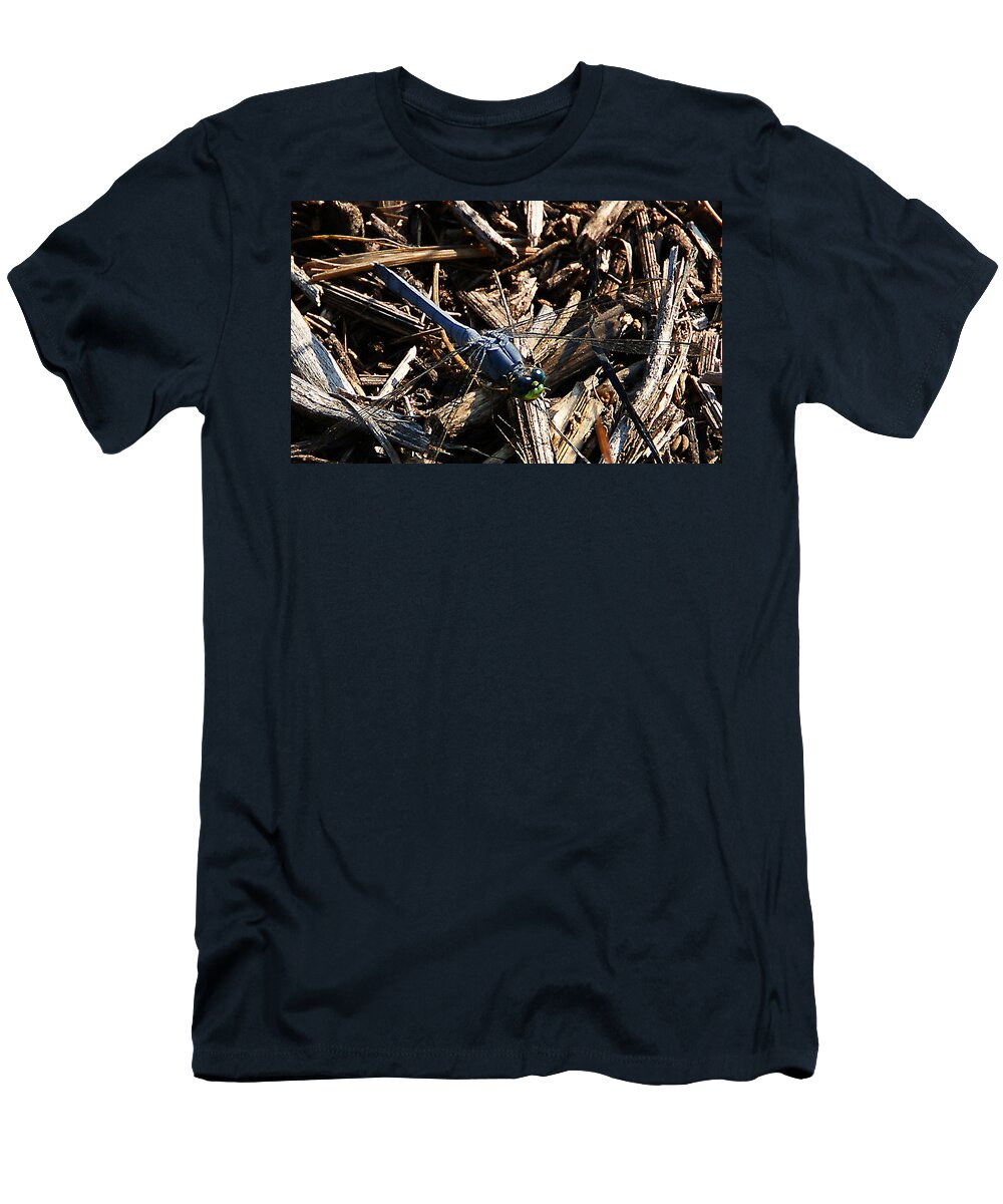 Insect T-Shirt featuring the photograph Blue Dragonfly by Chauncy Holmes