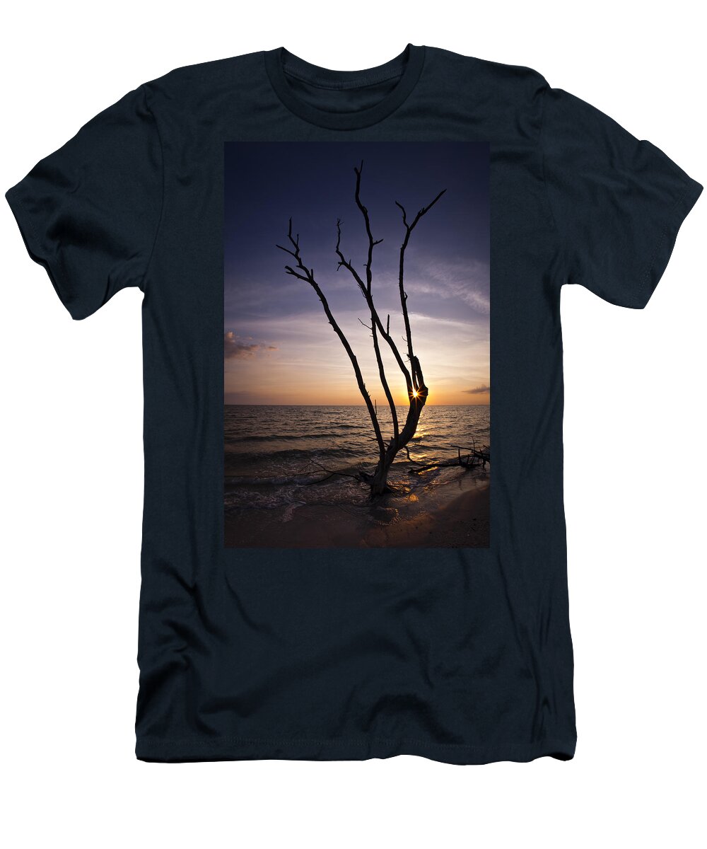 Florida T-Shirt featuring the photograph Bonita Beach Tree by Bradley R Youngberg