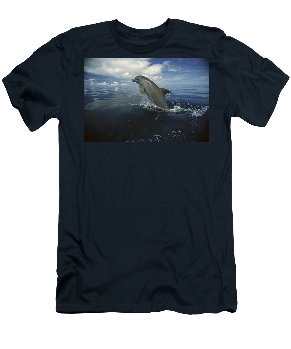Feb0514 T-Shirt featuring the photograph Bottlenose Dolphin Leaping Honduras by Konrad Wothe