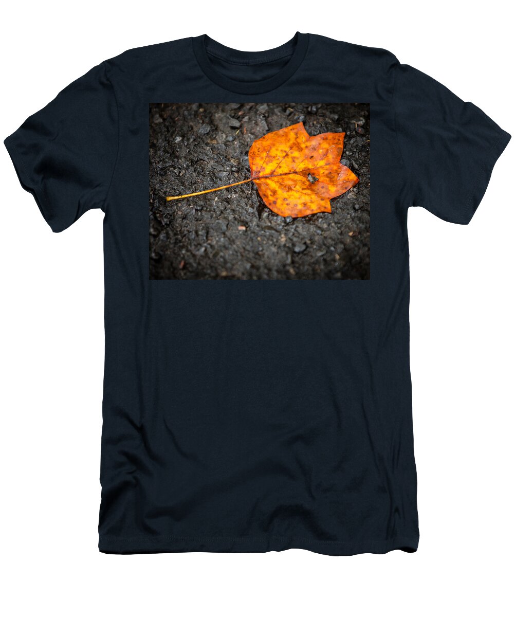 2013 T-Shirt featuring the photograph Bright Dark and Alone by Melinda Ledsome