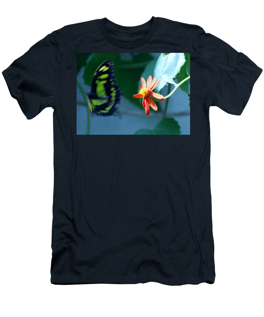 Lepidopterology T-Shirt featuring the photograph Butterfly In Flight by Rob Hans