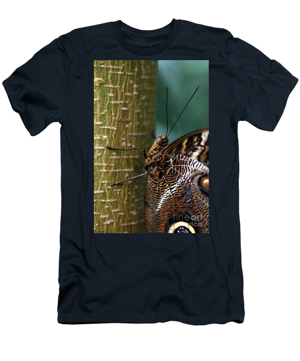 Caligo T-Shirt featuring the photograph Caligo atreus by Amanda Mohler