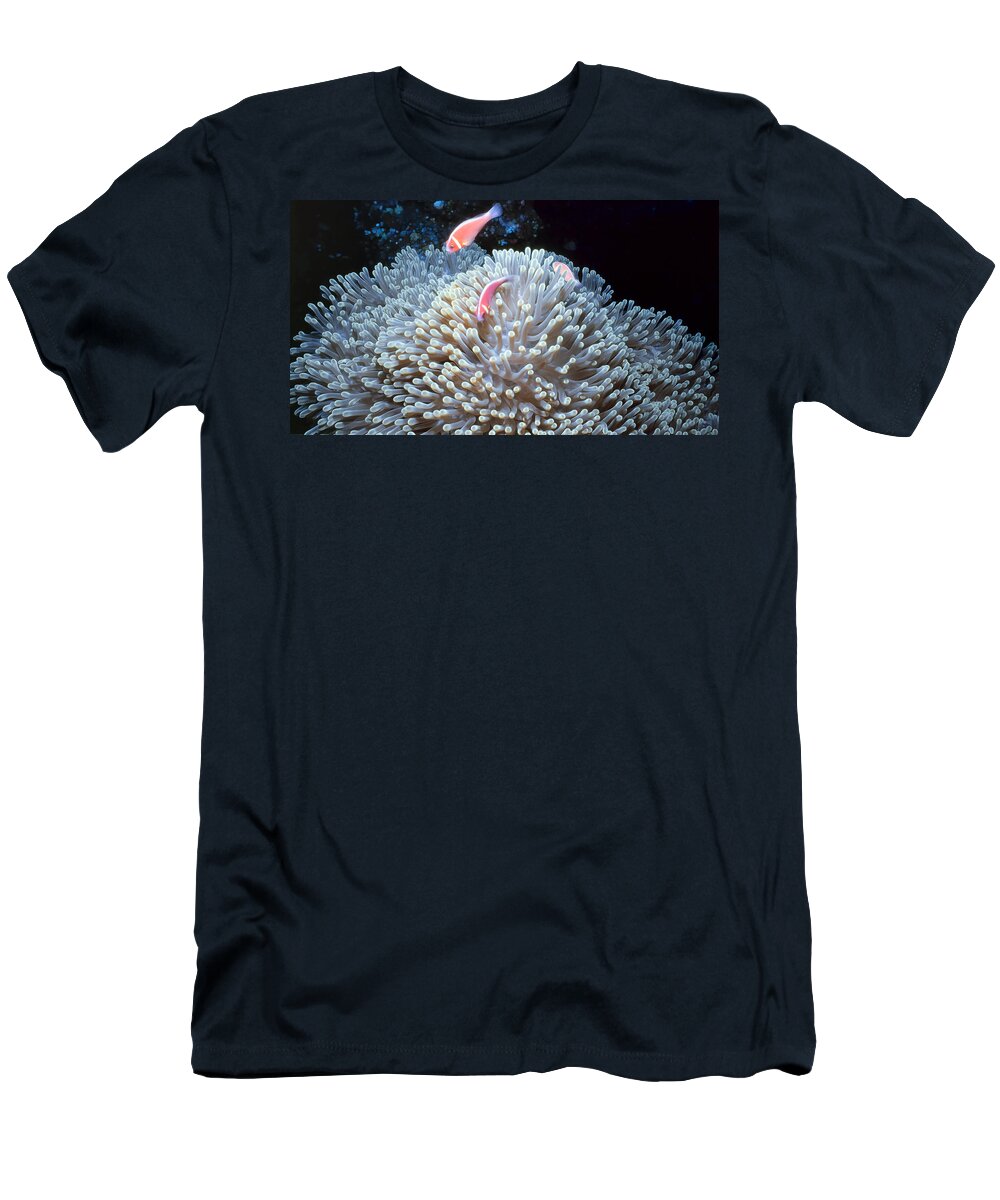 Micronesia T-Shirt featuring the photograph Clownfish 48 by Dawn Eshelman