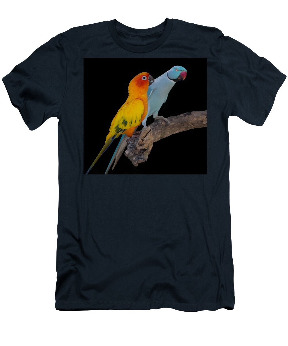 Bird T-Shirt featuring the photograph Sun Conure and Ring Neck Parakeet by Richard Goldman