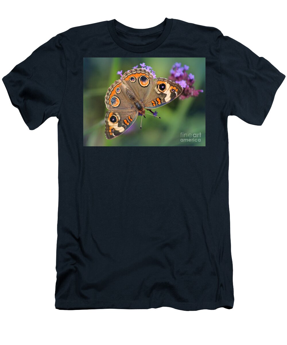 Buckeye Butterfly T-Shirt featuring the photograph Common Buckeye Butterfly by Karen Adams