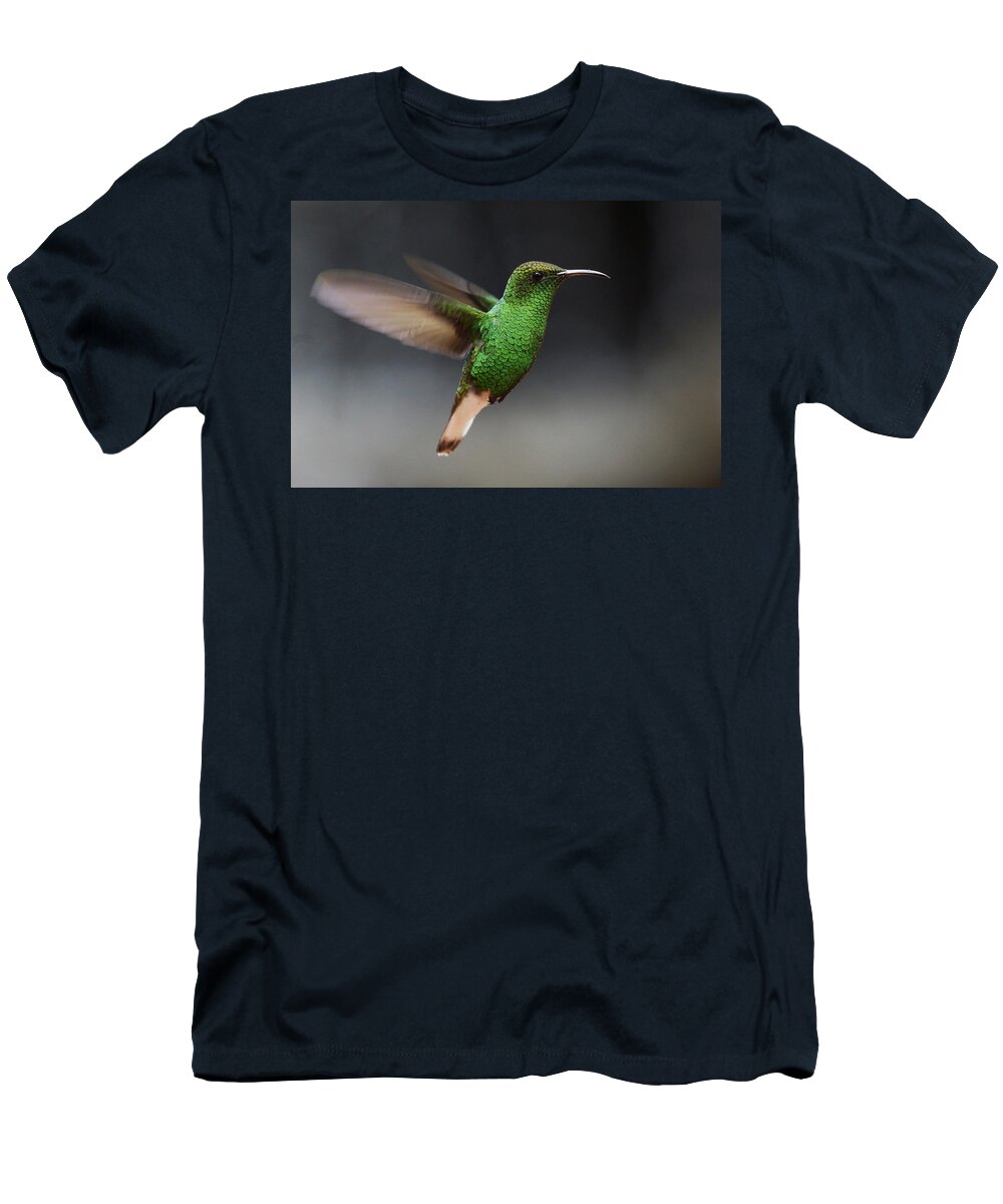 Feb0514 T-Shirt featuring the photograph Coppery-headed Emerald Hummingbird by Hiroya Minakuchi