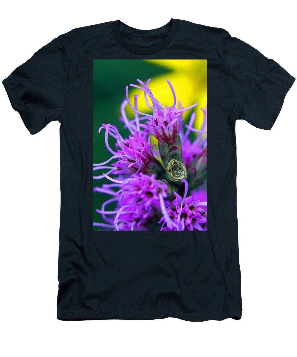 Flowers T-Shirt featuring the photograph Crazy in Color by Jennifer Robin