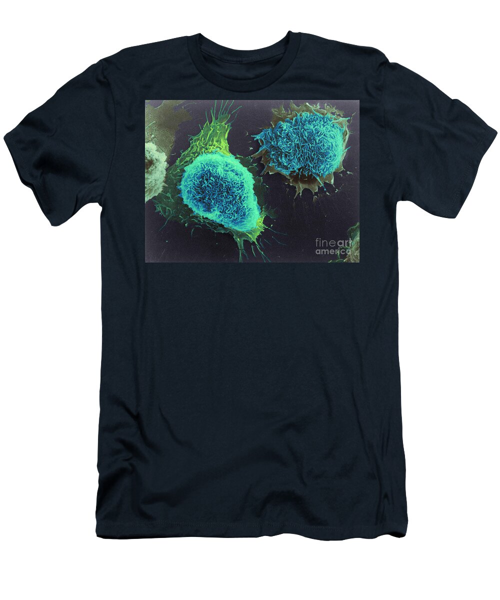 Science T-Shirt featuring the photograph Cultured Cells, Sem by Science Source