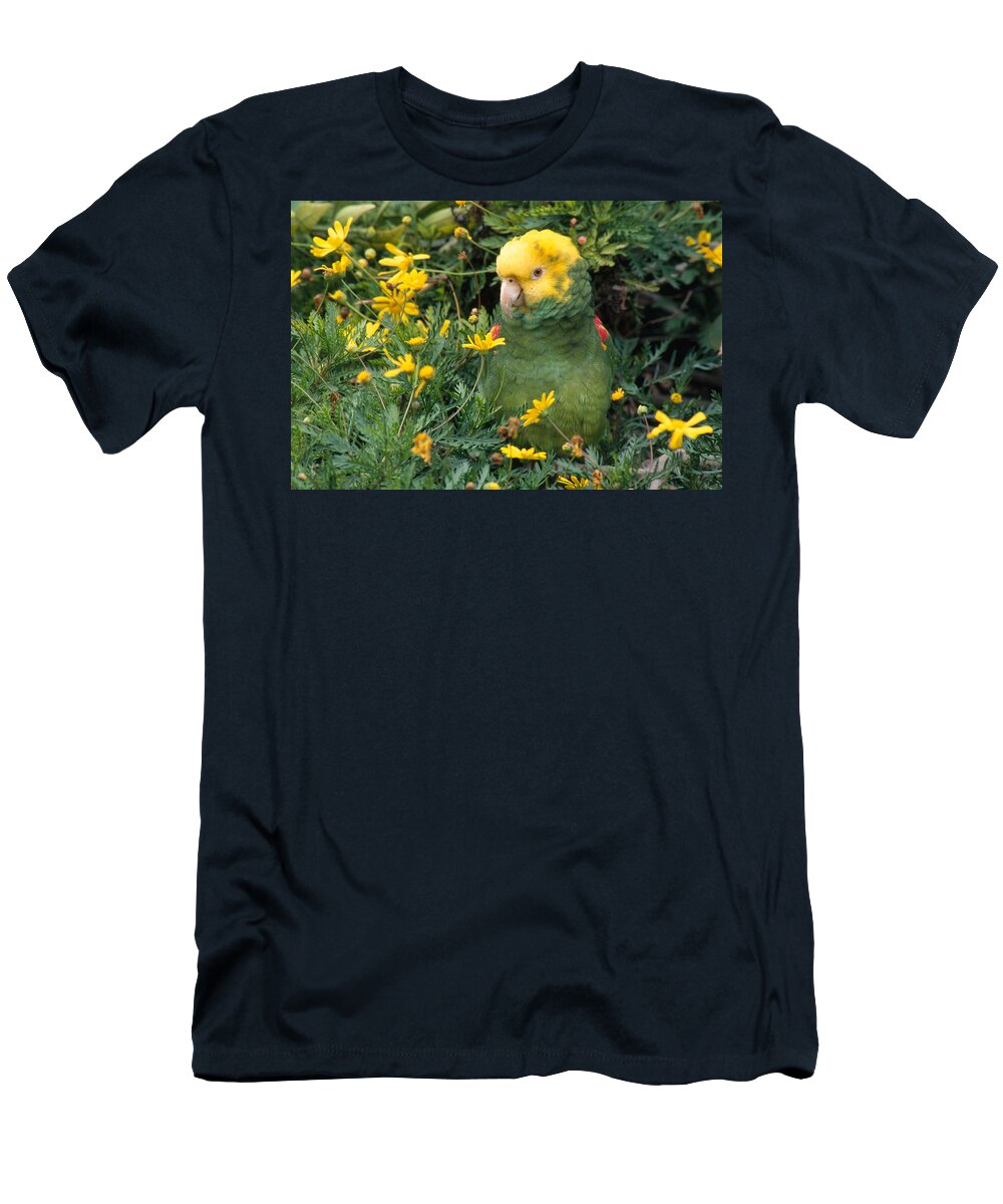 Amazon Parrot T-Shirt featuring the photograph Double Yellow Headed Parrot by Craig K. Lorenz