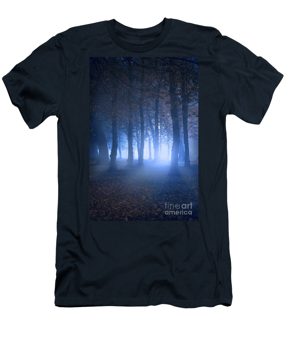 Forest T-Shirt featuring the photograph Eerie Woodland Scene At Nigh Time In Fog by Lee Avison