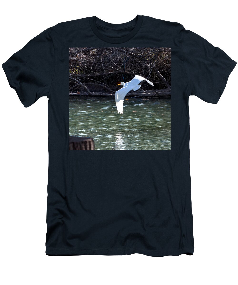 Egret T-Shirt featuring the photograph Egret in flight by John Johnson