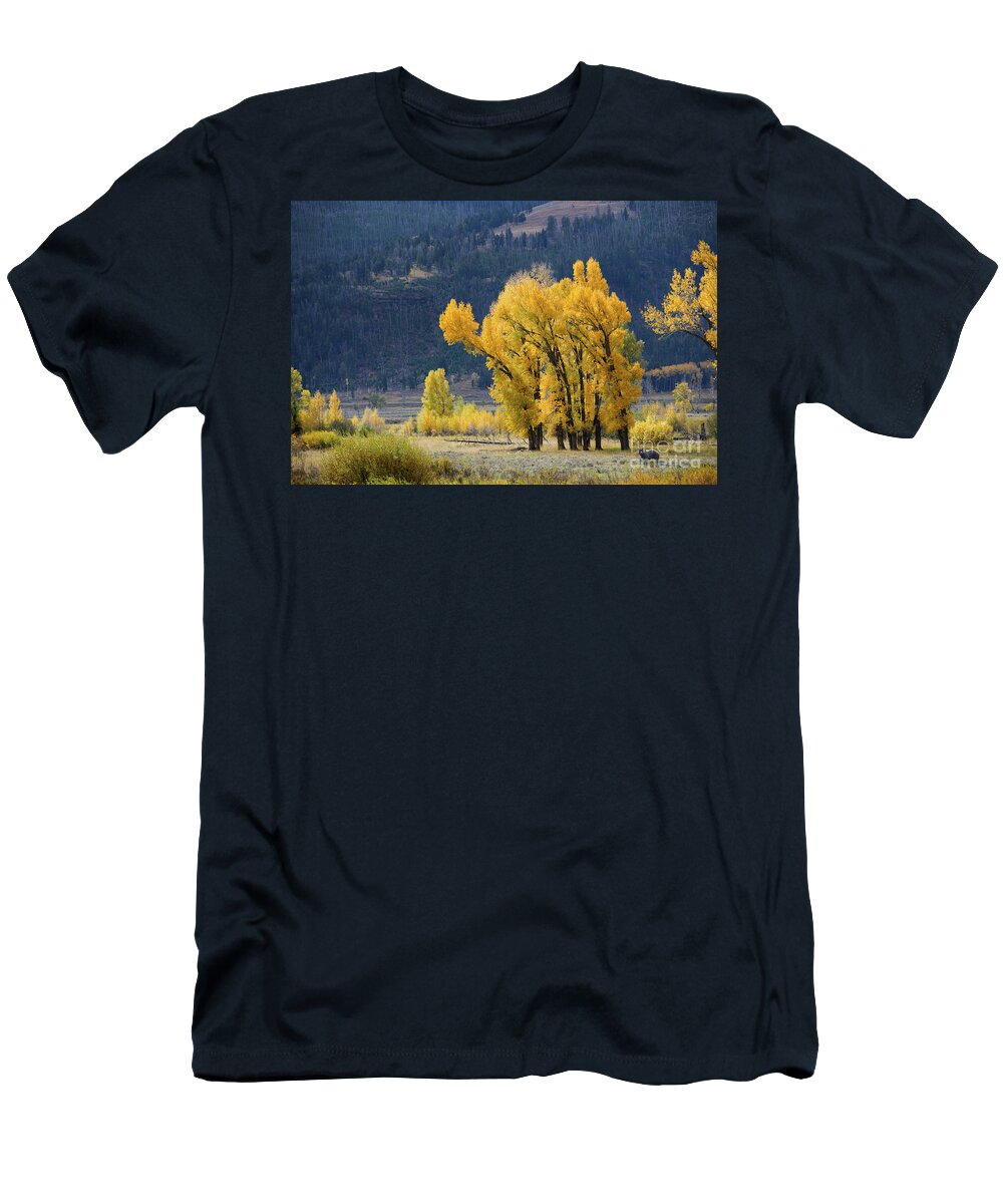 Grizzly Bear T-Shirt featuring the photograph Fall in Yellowstone by Deby Dixon
