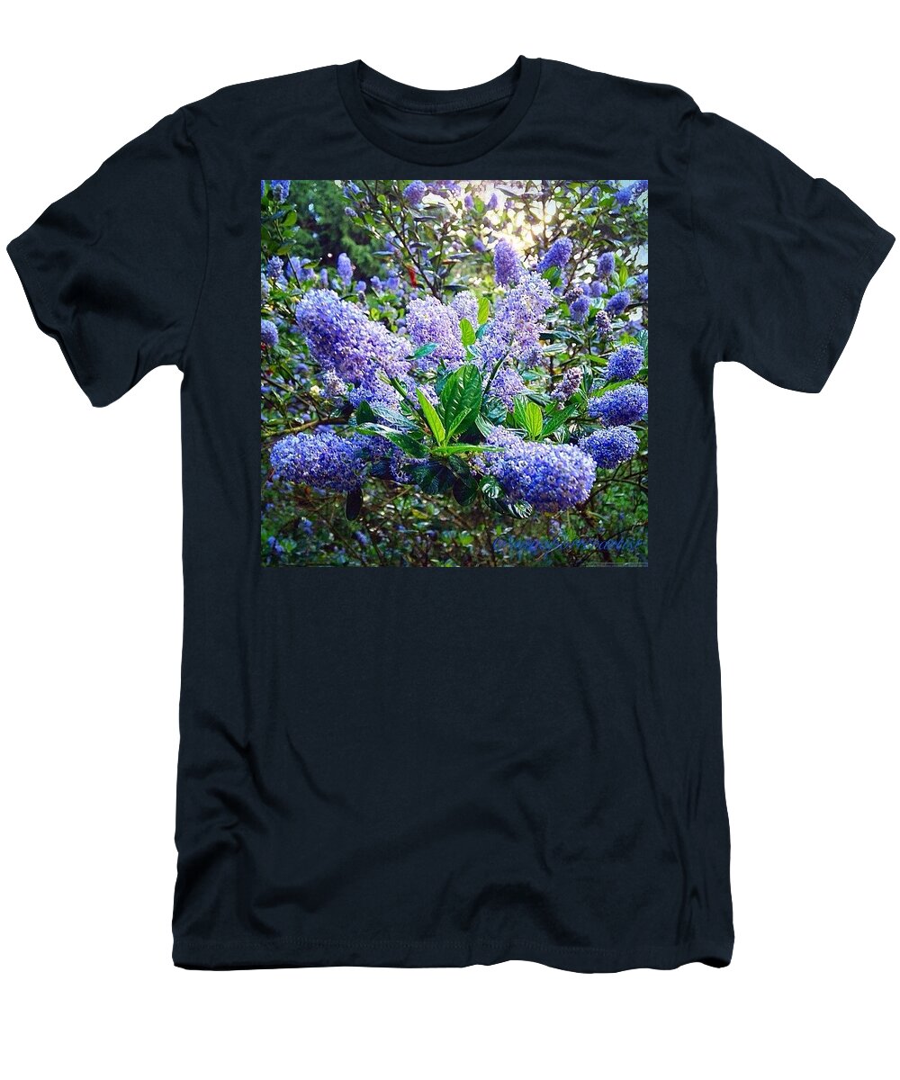 Annasgardens T-Shirt featuring the photograph Field Of Blue (early Summer) by Anna Porter