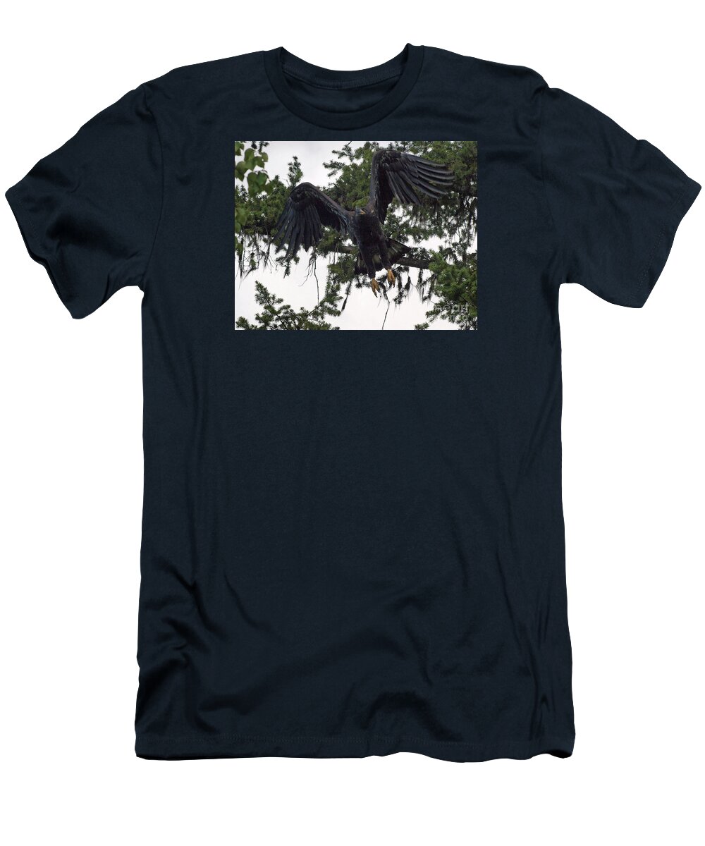 Hawk T-Shirt featuring the photograph Focused on Prey by Vivian Martin