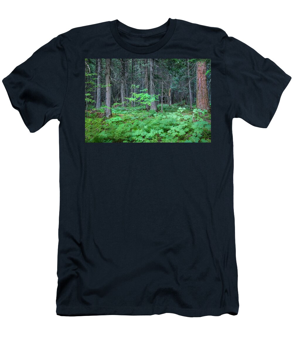 Glacier National Park T-Shirt featuring the photograph Forest Floor Glacier National Park Painted by Rich Franco