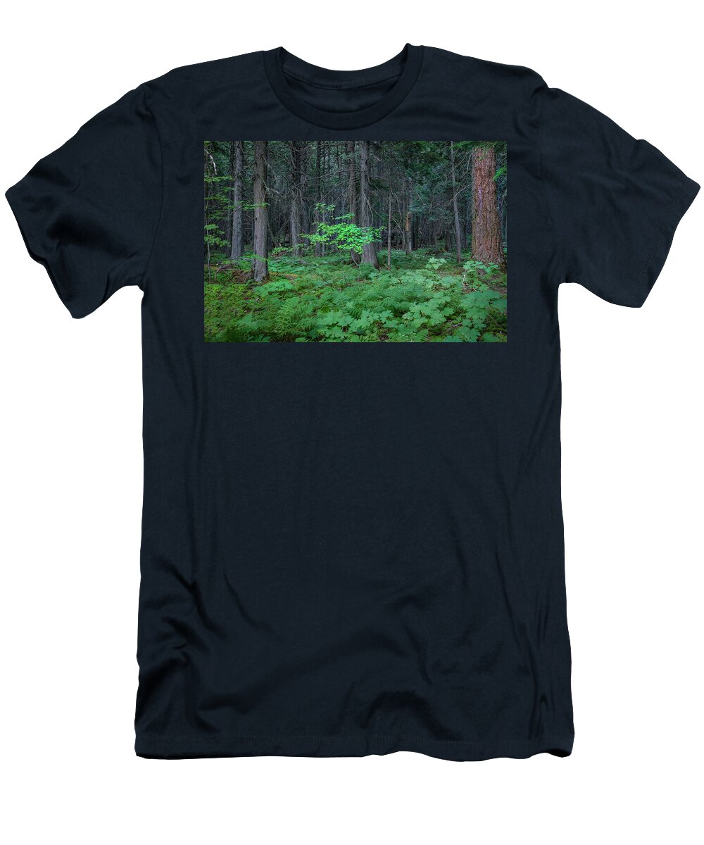 Glacier National Park T-Shirt featuring the photograph Forest Floor Glacier National Park by Rich Franco