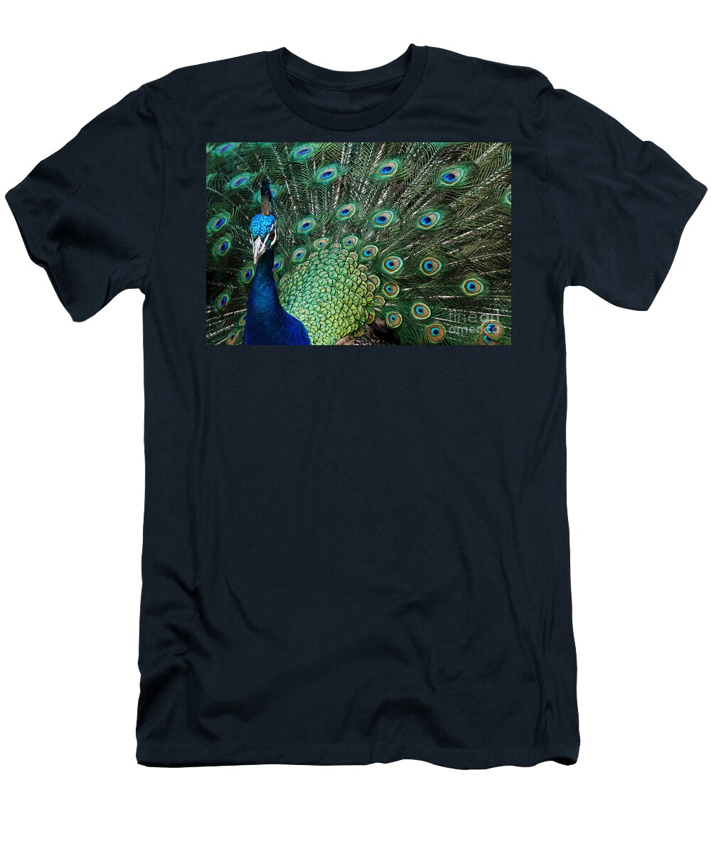 Bird T-Shirt featuring the photograph Full On by Ben Yassa
