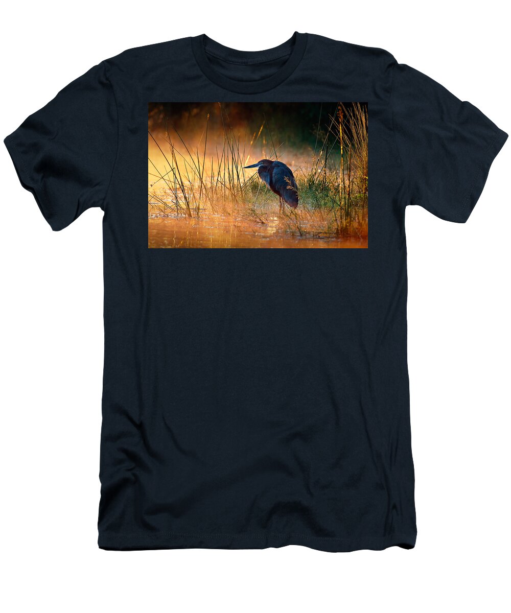 Heron T-Shirt featuring the photograph Goliath heron with sunrise over misty river by Johan Swanepoel