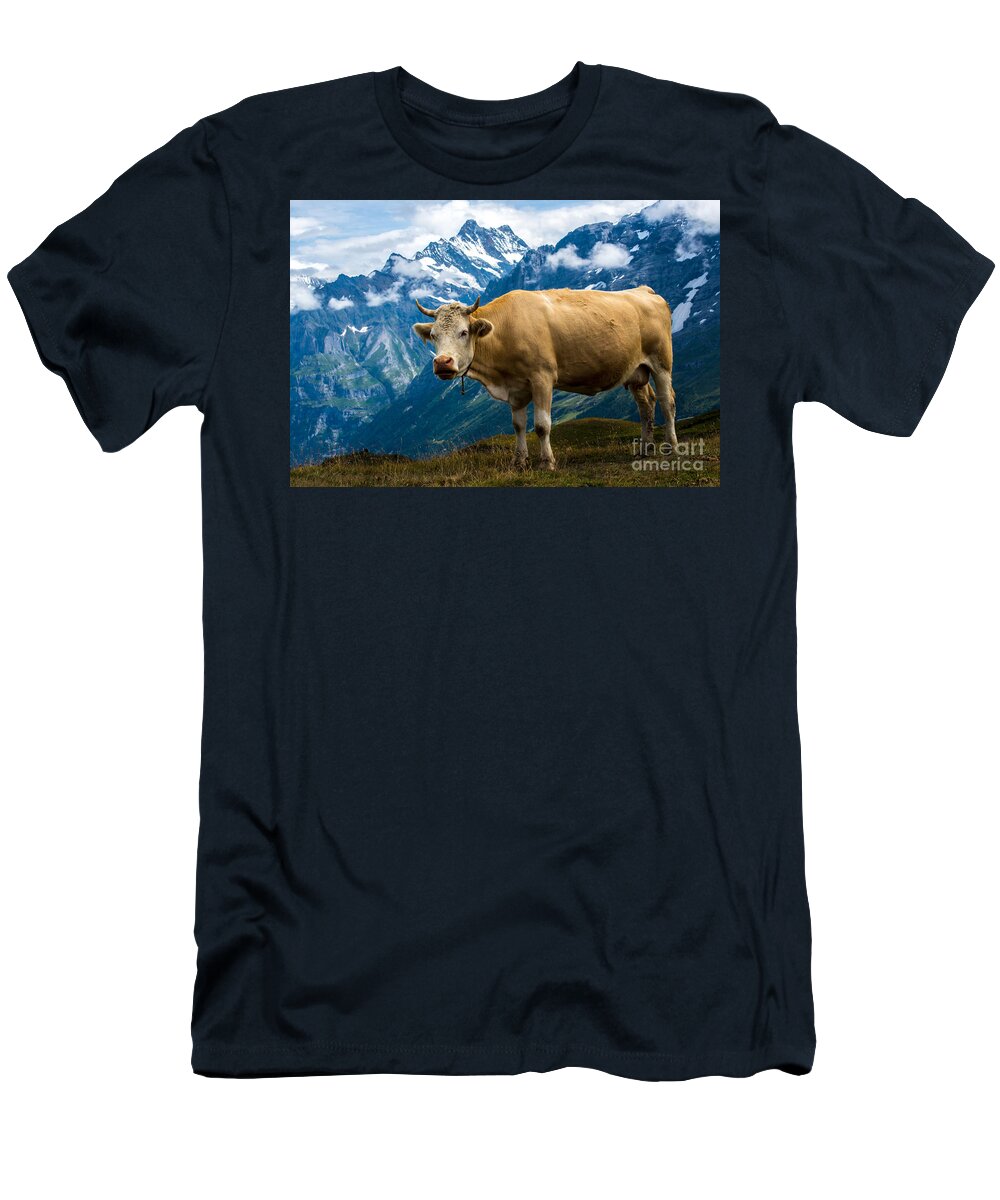 Switzerland T-Shirt featuring the photograph Swiss Cow - Swiss Alps - Switzerland by Gary Whitton