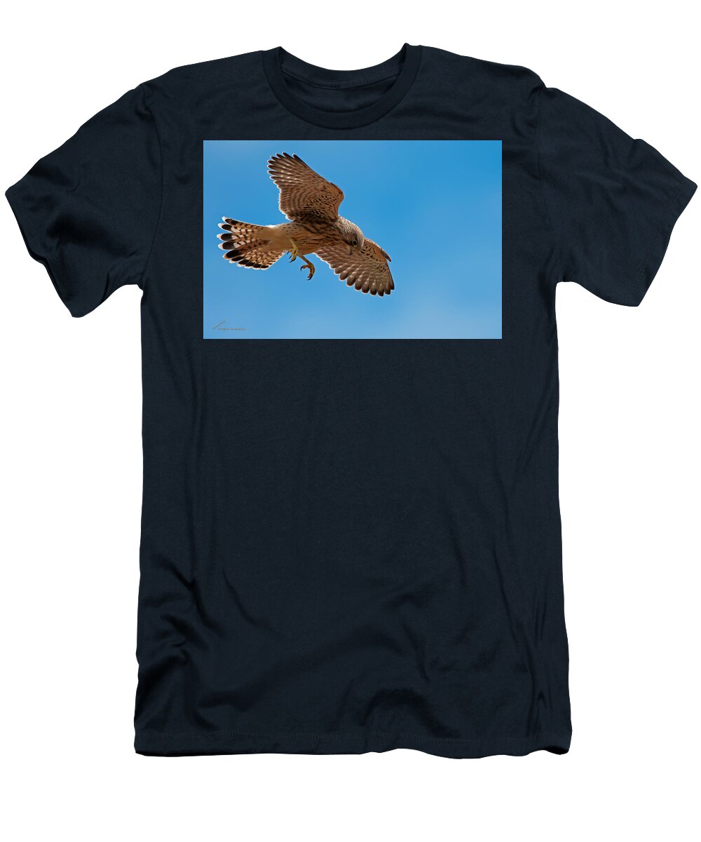 Hovering Kestrel T-Shirt featuring the photograph Hovering by Torbjorn Swenelius