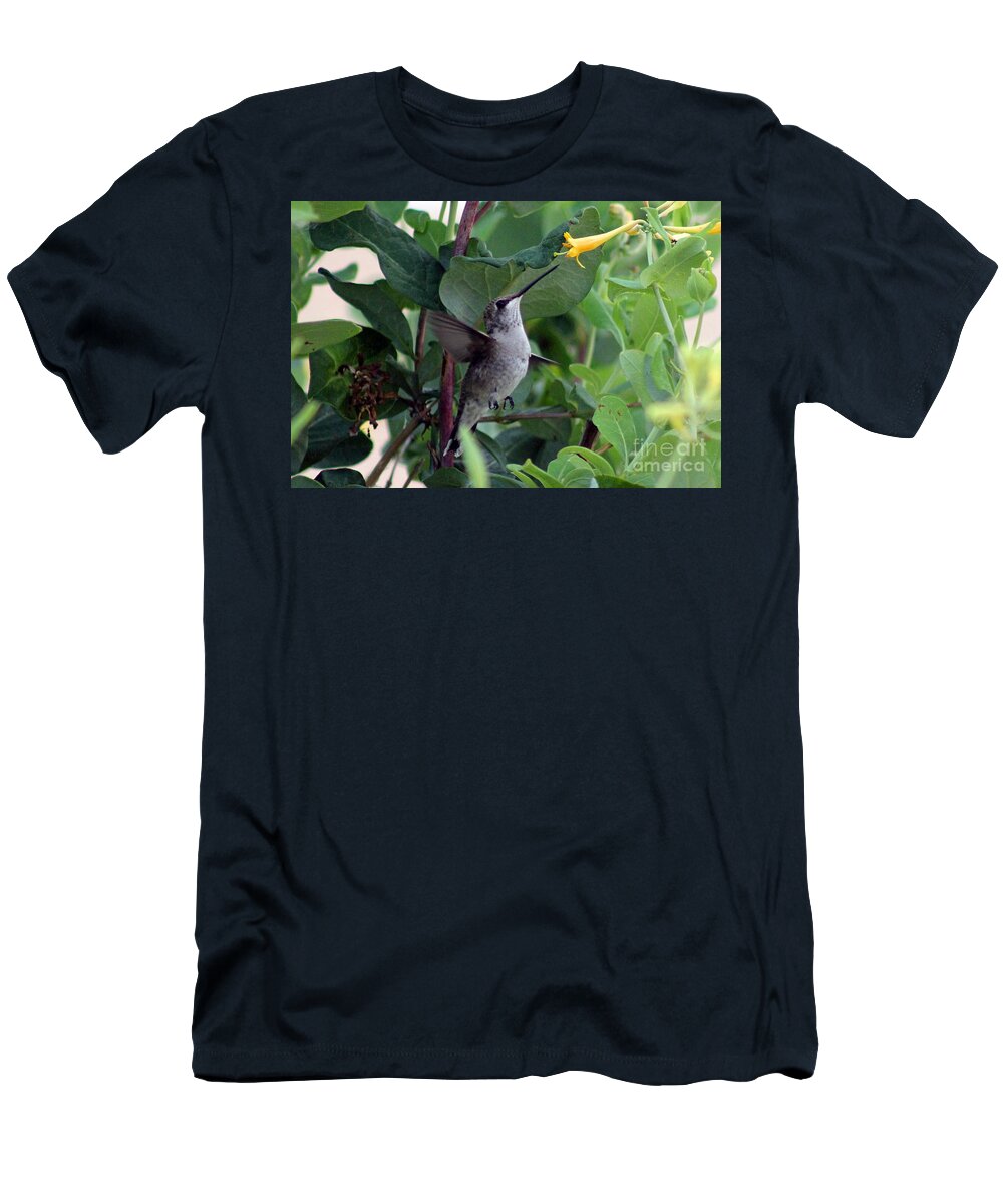 Colorado T-Shirt featuring the photograph Hummer and Honey by Bob Hislop