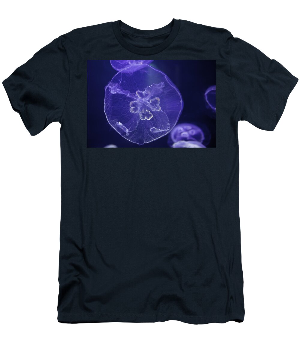 Hawaii T-Shirt featuring the photograph Jellyfish Tank by Dan McManus