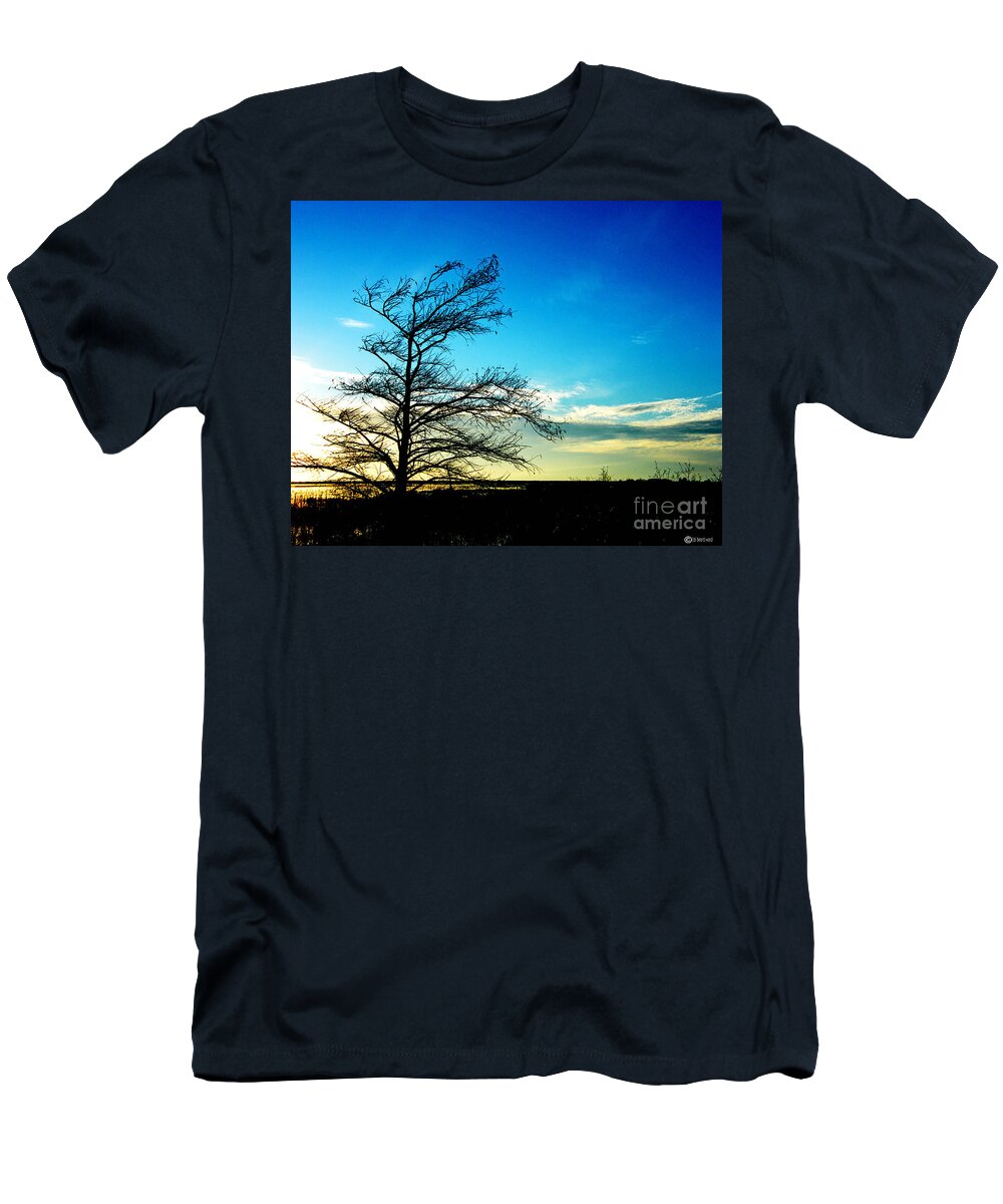 Lacassine T-Shirt featuring the photograph Lacassine Tree by Lizi Beard-Ward