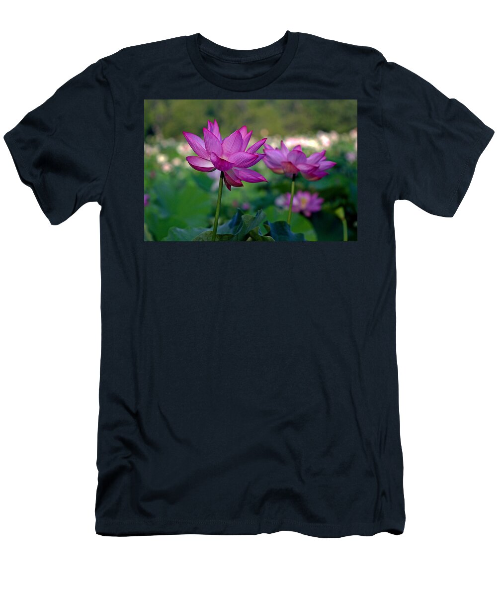 Kenilworth T-Shirt featuring the photograph Lotus Flowers by Jerry Gammon