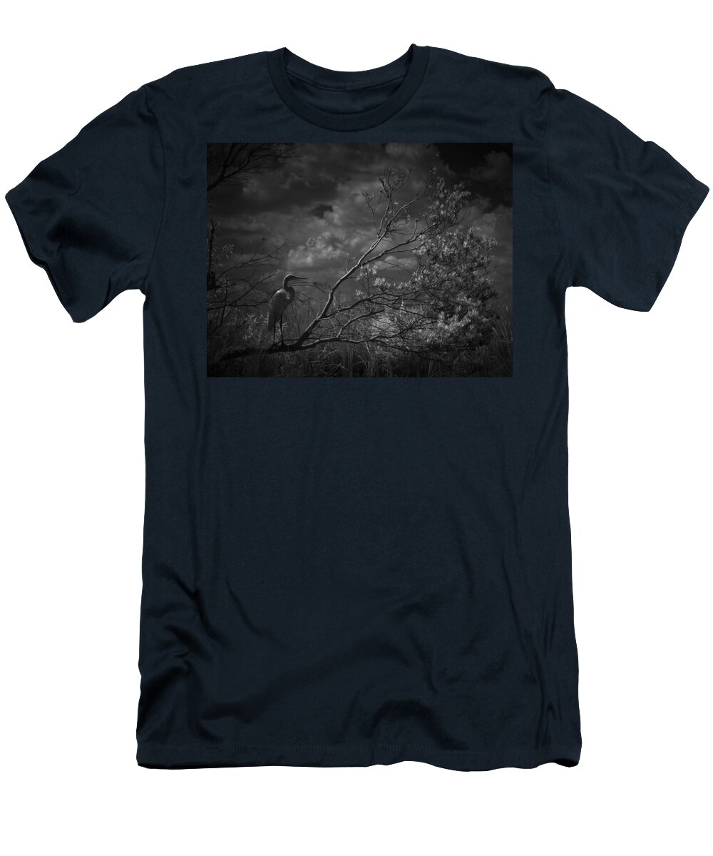Egret T-Shirt featuring the photograph Loxahatchee Heron At Sunset by Bradley R Youngberg