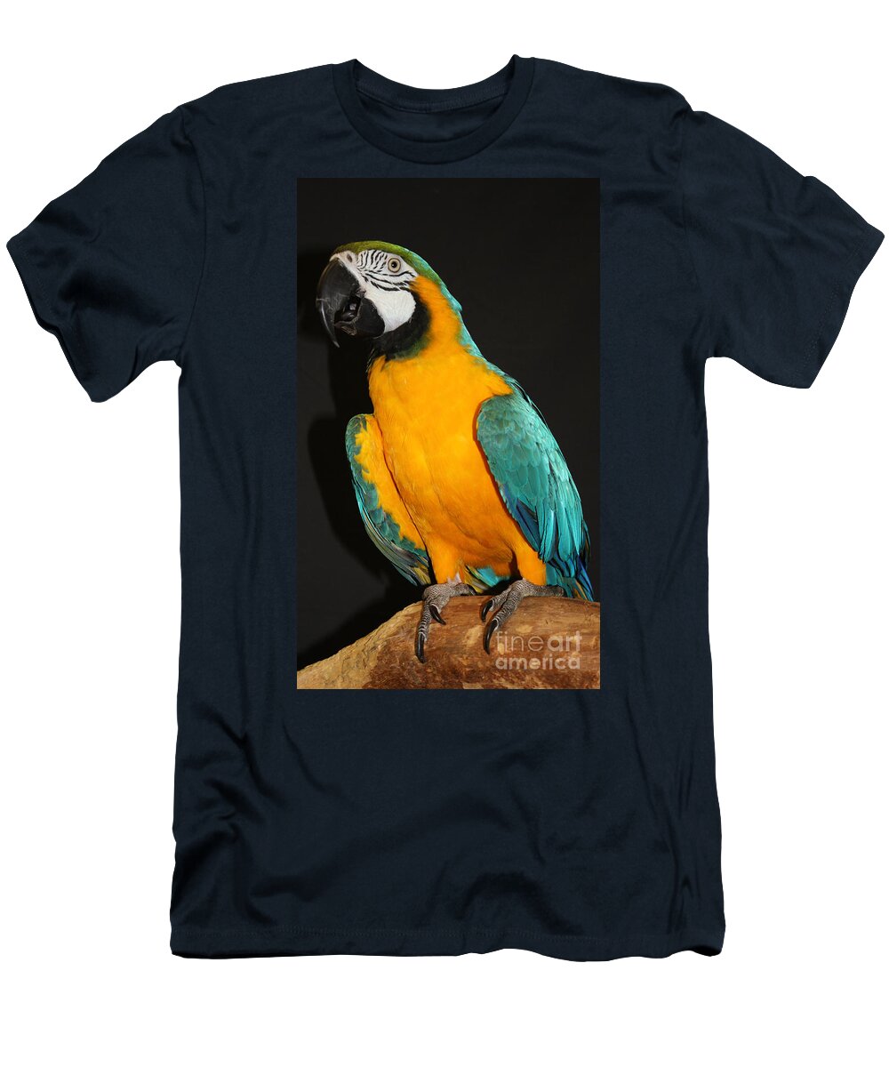 Macaw Hanging Out T-Shirt featuring the photograph Macaw Hanging Out by John Telfer