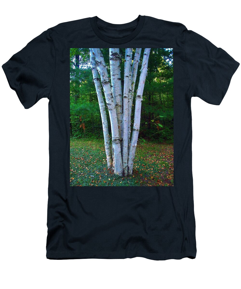 Birch Trees T-Shirt featuring the photograph Micro-grove by Daniel Thompson