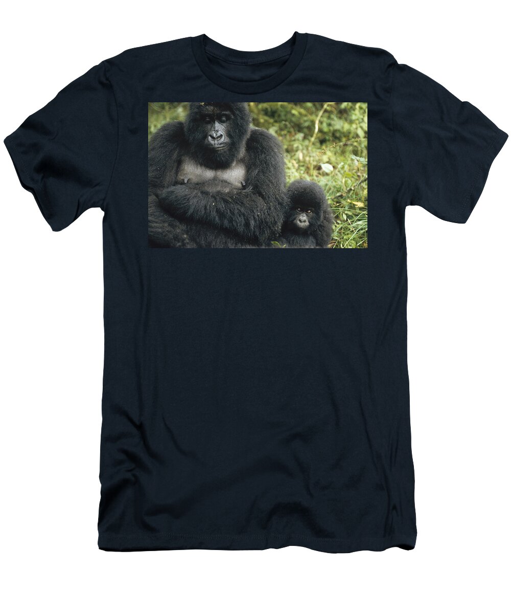 Feb0514 T-Shirt featuring the photograph Mountain Gorilla Mother And Baby by Konrad Wothe
