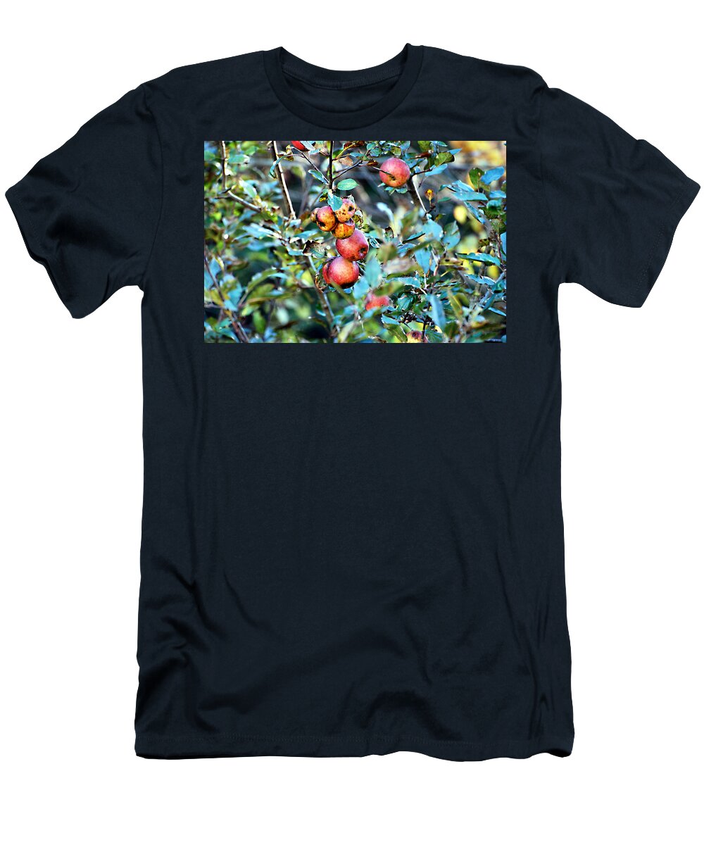 Apples T-Shirt featuring the photograph Old Apples by Linda Cox