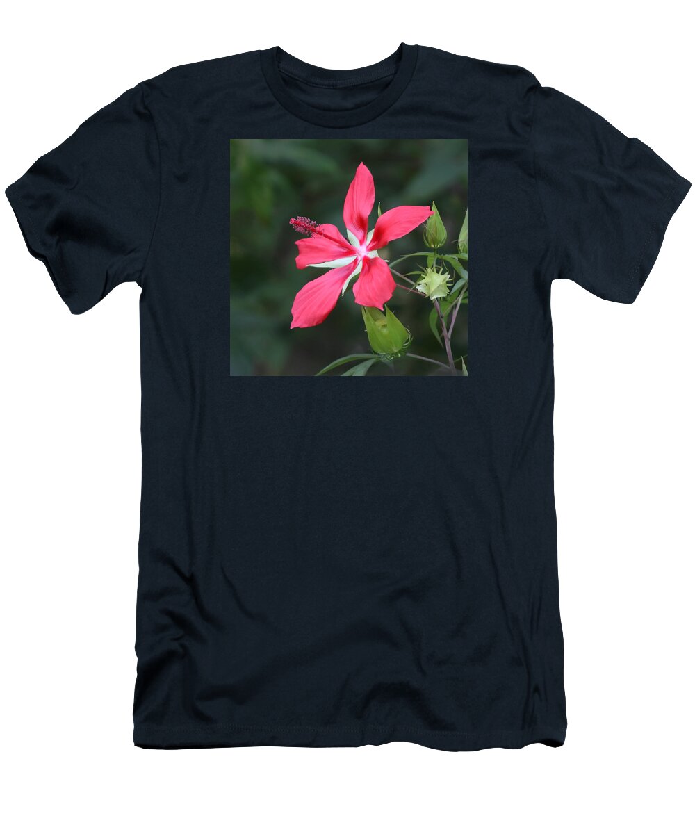 Scarlet T-Shirt featuring the photograph Scarlet Hibiscus #3 by Paul Rebmann